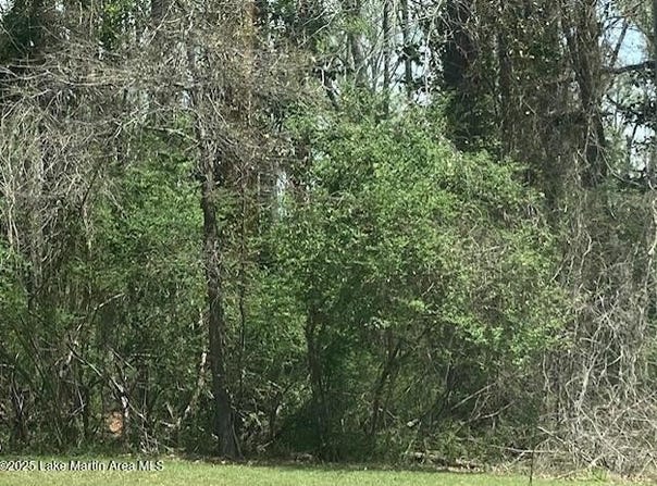 4 Lots Maplewood Ln Ext & Hickory Cir, Alexander City, AL 35010