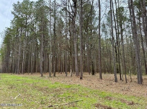 1 Robinson Road, Canton, MS 39046