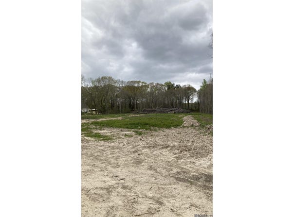 11283 Blackwater Rd, Baker, LA 70714
