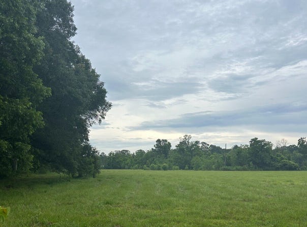 0 Finch Ln Lot 8, Independence, LA 70443