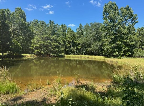 390 PR 5200, Ratcliff, TX 75858