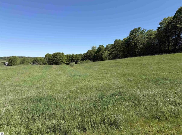 E John Michael Drive, Suttons Bay, MI 49682