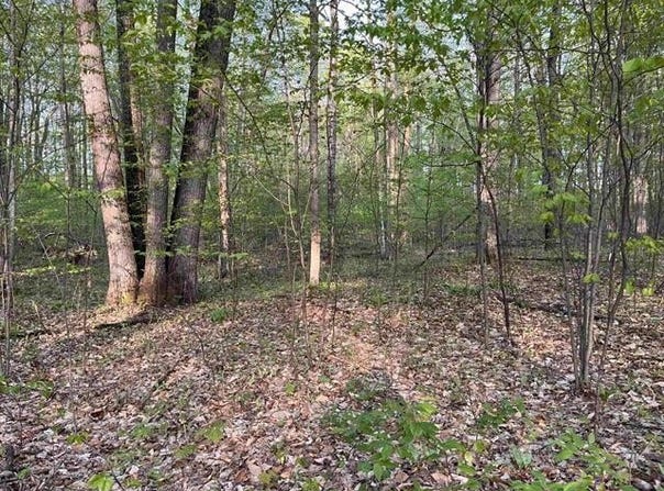 000 PAR-KING DRIVE, CUSTER TWP, MI 49615