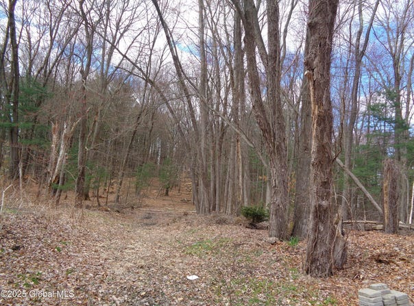 L17.12 Helderberg Avenue, Rotterdam, NY 12306