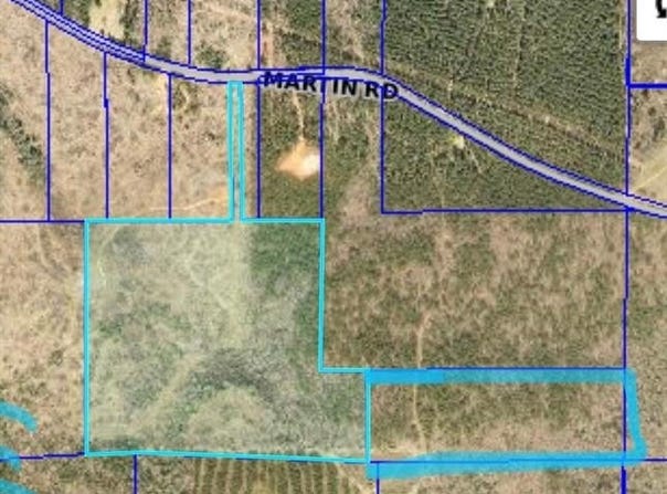 280 Martin Road, Plain Dealing, LA 71064