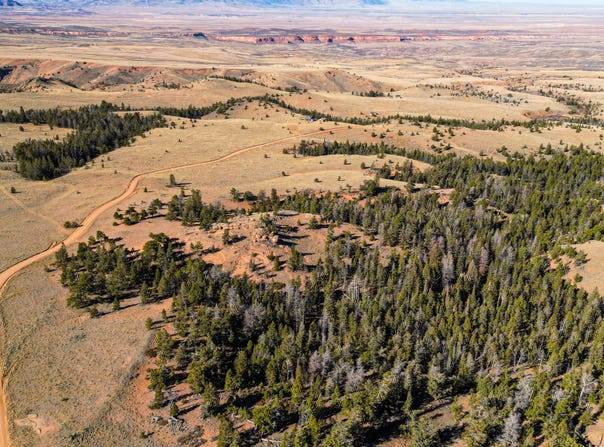 Wilderness Ranch Rd, Red Feather Lakes, CO 80545