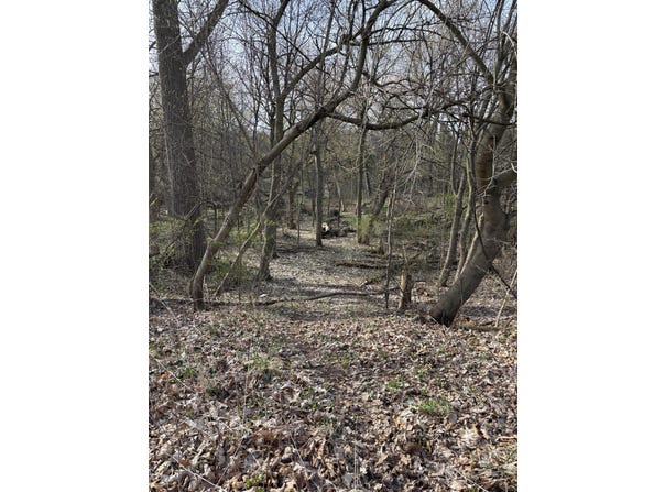 Lot 31 W High Street, Greenville, MI 48838