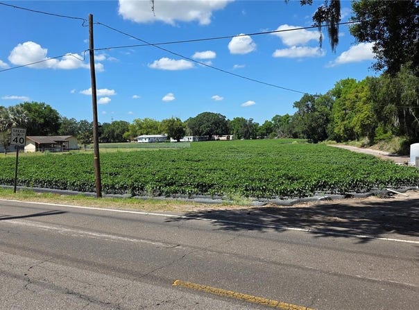 GALLAGHER ROAD, DOVER, FL 33527