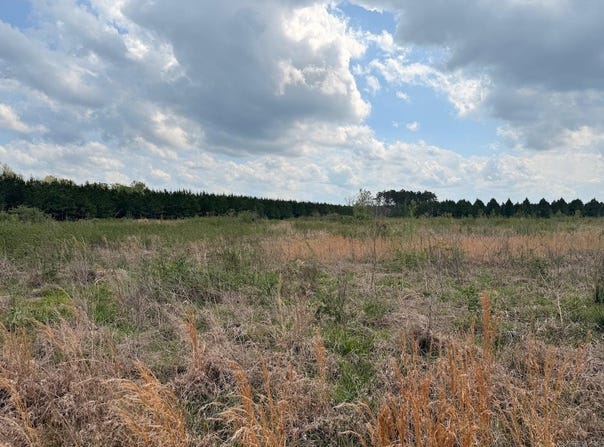 Hwy 172, Monticello, AR 71655