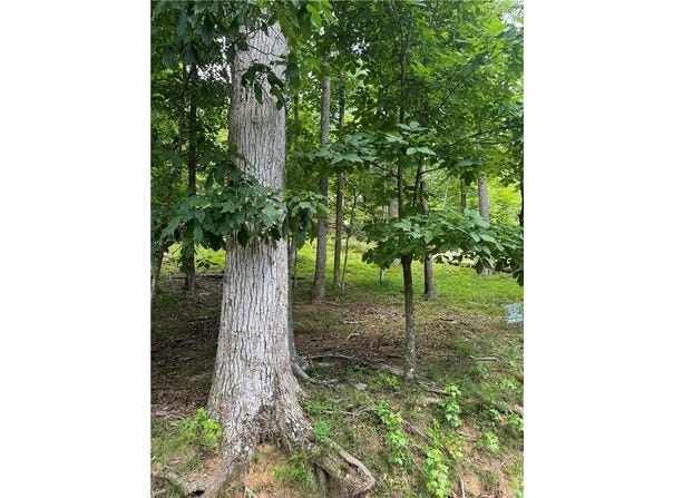 830 Duffer Drive, Jasper, GA 30143