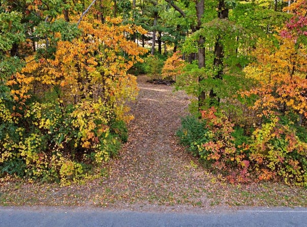 7861 Vestaburg Road, Vestaburg, MI 48891