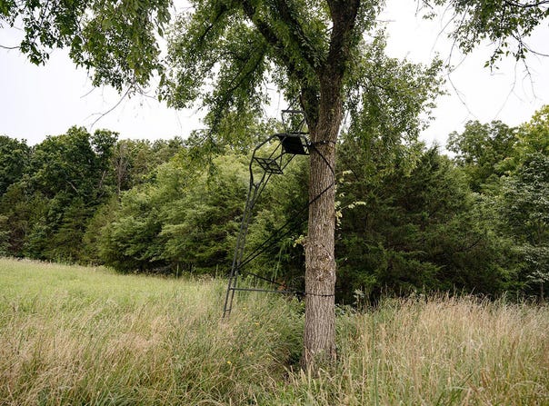 County Road 443, Cross Timbers, MO 65634