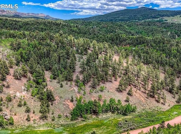 626 Little Topsey Drive, Cripple Creek, CO 80813