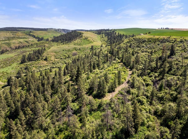 37607 Webb Ridge Road, Lapwai, ID 83540
