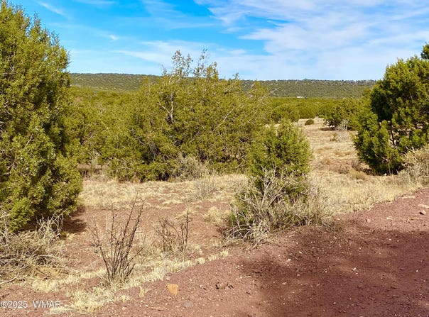 Tbd Co Rd 8269 Lots 150 & 151, Concho, AZ 85924