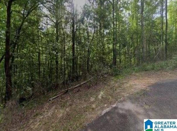2467 CUNNINGHAM AVENUE lot: 1, BIRMINGHAM, AL 35217