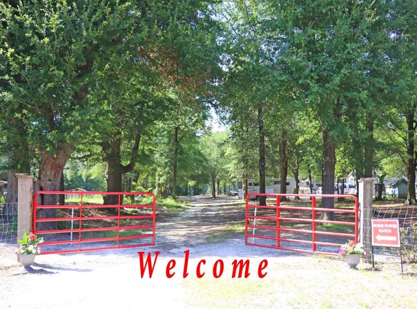 301 Ernest Johnson Road, Wagener, SC 29164