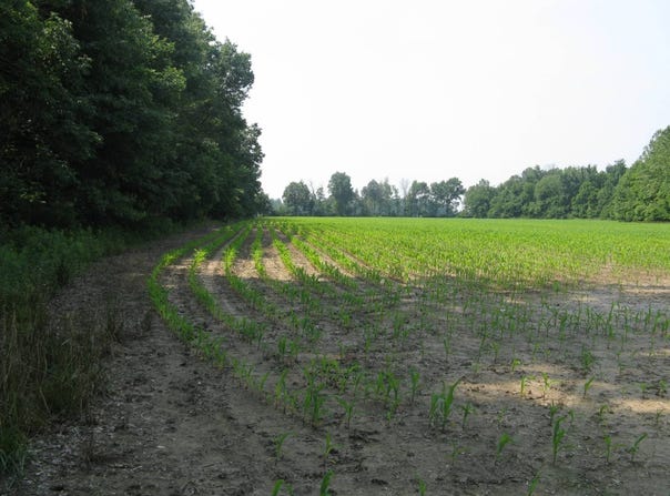 0000 South Co Road 125E, Clay City, IN 47841