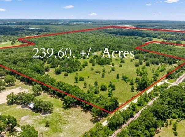 651 SE 195TH AVENUE, WILLISTON, FL 32696