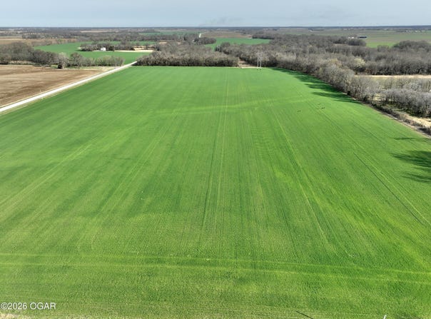 0002 CR-290, Asbury, MO 64832