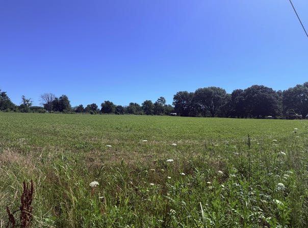 N Maple Street, Dadeville, MO 65635