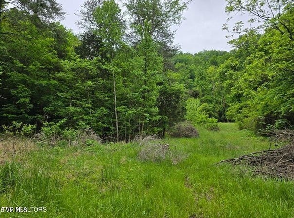 Tbd Boatmans Mountain Lot 3 Road, Morristown, TN 37814