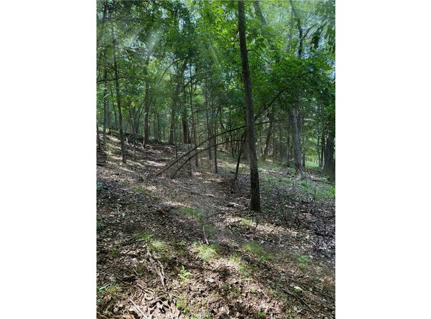 Pine Drive lot: 40, Garfield, AR 72732