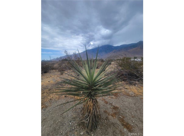 Panorama Drive, Whitewater, CA 92282