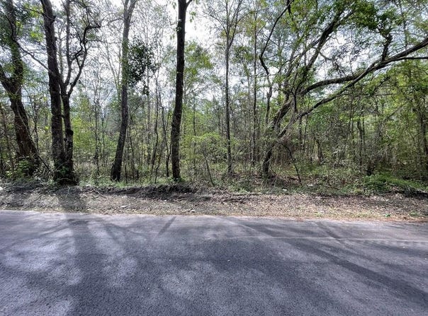 Tbd Cartoon Circle, Eutawville, SC 29048