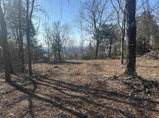 536 Leonard Lane, Pottsville, AR 72858