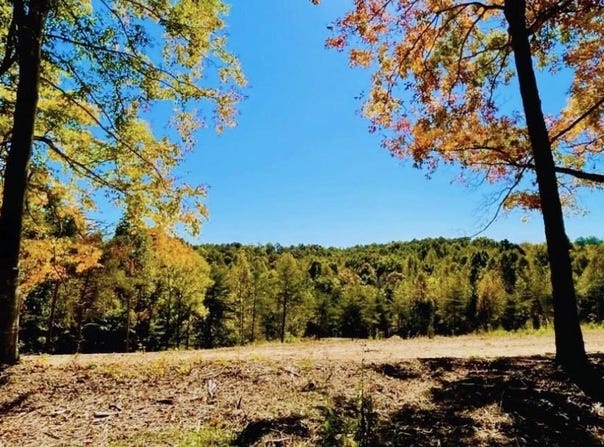 Tract 4 State Park Road, Burkesville, KY 42717