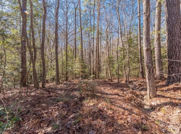 Morgan Drive, Lexington, SC 29072