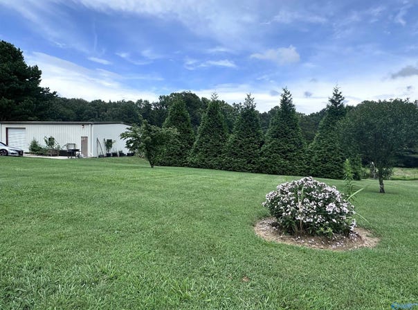 8971 County Road 14, Flat Rock, AL 35966