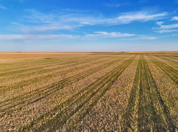 TBD County Road 31, Otis, CO 80743