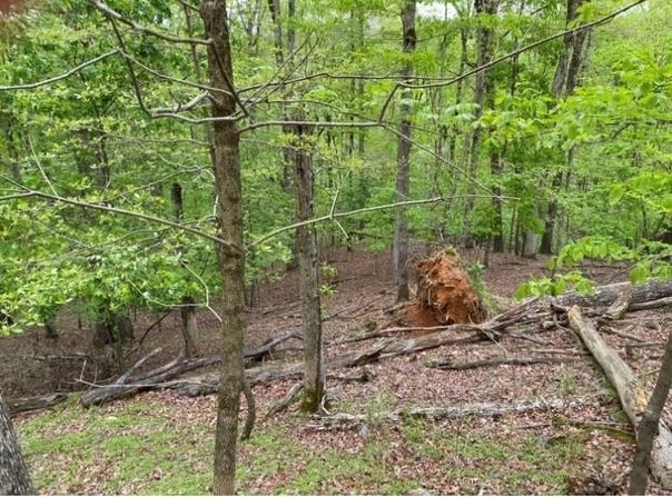 319 Zenith Trail, Ellijay, GA 30540