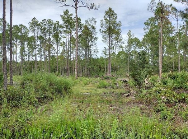5814 MAHOGANY Boulevard, BUNNELL, FL 32110