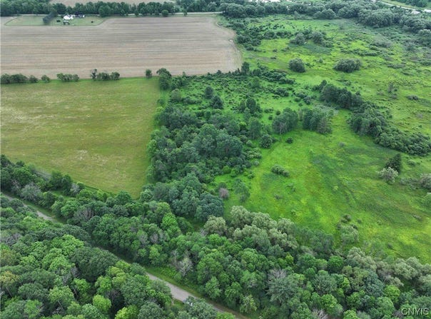 Creek Road, Hinsdale, NY 14743