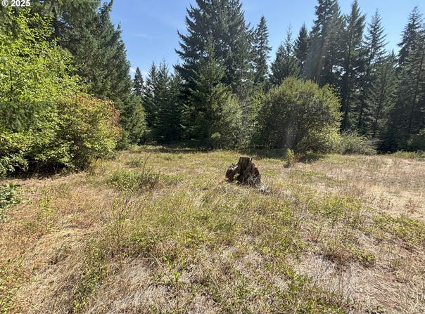 Canyon Rd, Lyle, WA 98635