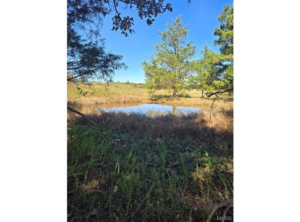 000 County Road 455, Birch Tree, MO 65438