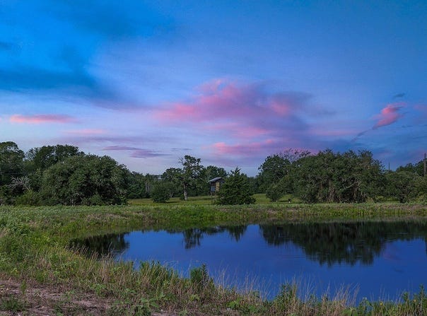 TBD 2839 Schoenst Road, Carmine, TX 78932