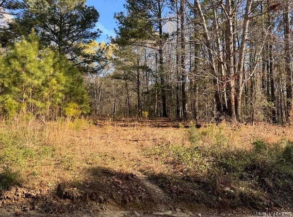 163 Deer Run Rd lot: 52,53,54, Roanoke Rapids, NC 27870
