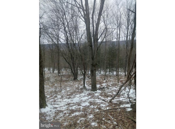 9701 ROUTE 209, WILLIAMSTOWN, PA 17098