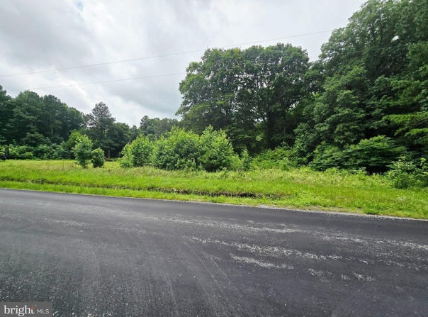 LOT 1 WHITNEY SWAMP ROAD, BRIDGEVILLE, DE 19933