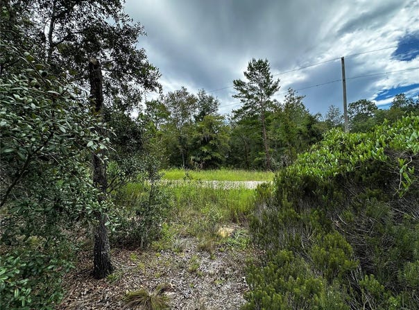 NE 149TH Court, WILLISTON, FL 32696