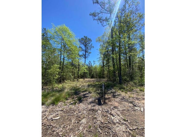 39-A FM 1751, Broaddus, TX 75929