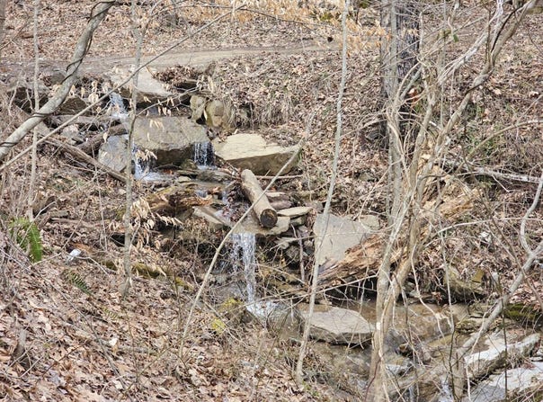 Bobs Run, Alderson, WV 24910