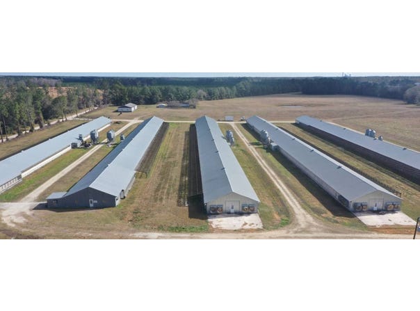 1251 Bardin Rd, Palatka, FL 32177