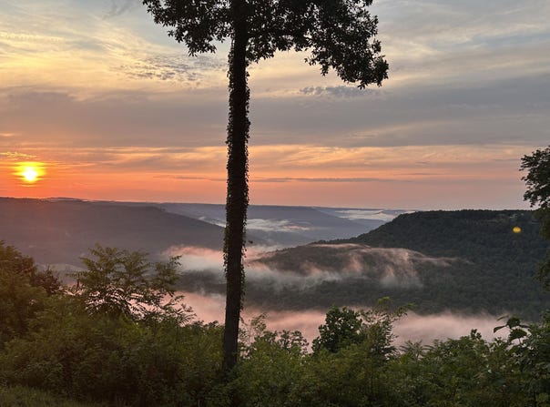 755 Sunset Circle lot: Sv-109, Jasper, TN 37347