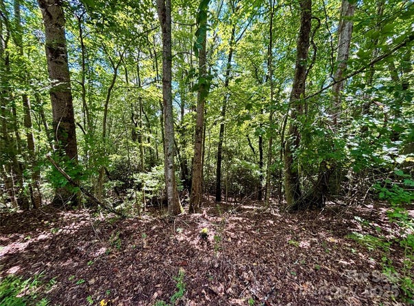 Laurel Forest Drive, Hendersonville, NC 28792