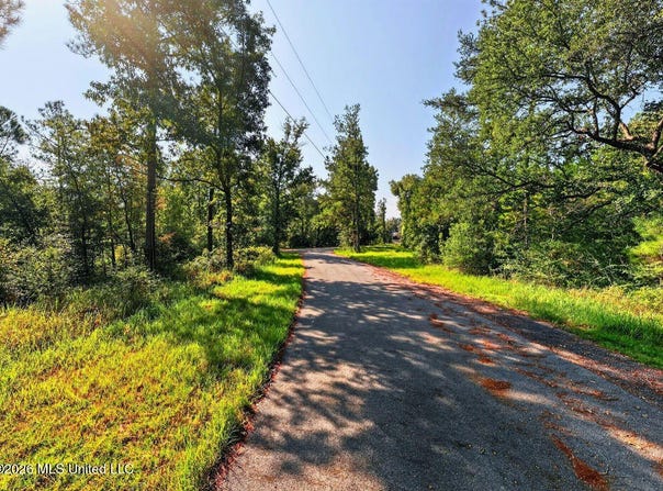 17 +/- Ac Burnis Havard Road, Perkinston, MS 39573